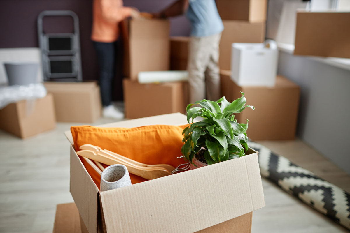 boston apartment rental